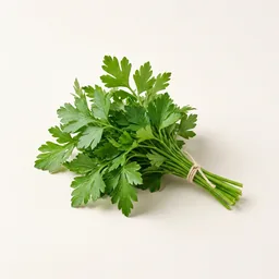 Parsley